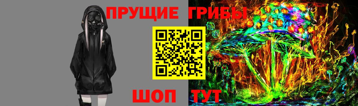 Старый Оскол  что такое   Вход с VPN  Галлюциногенные грибы ЛСД 
