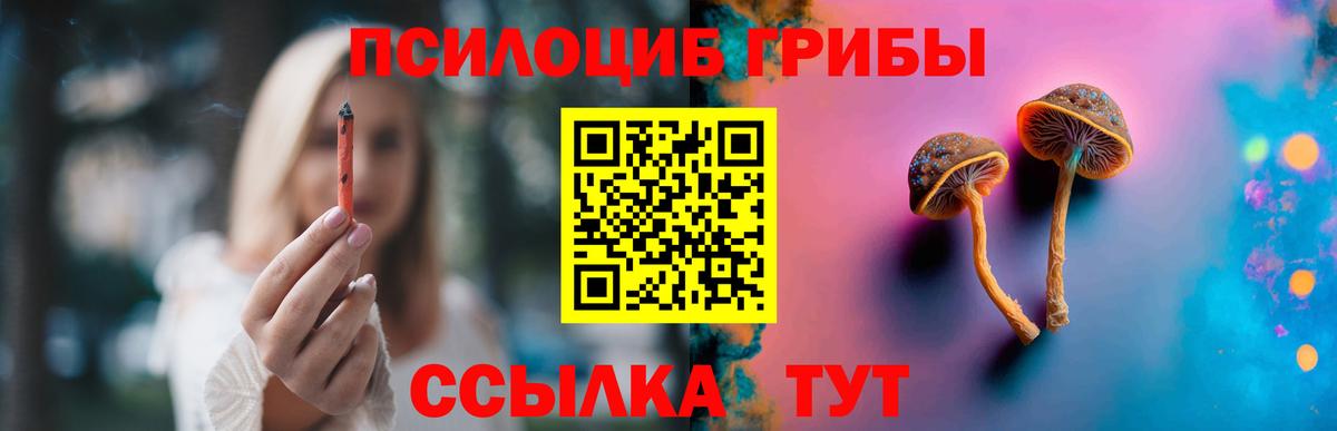 Галлюциногенные грибы мицелий Старый Оскол